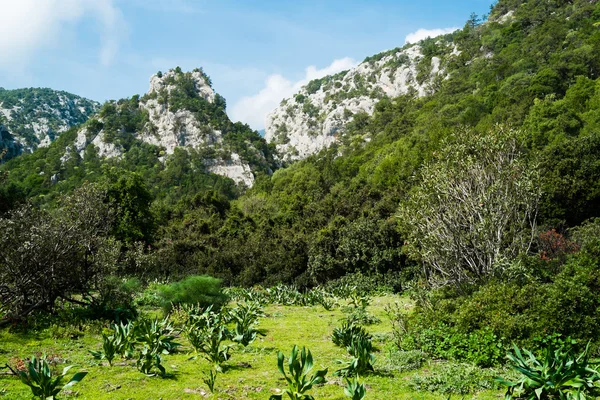 Paisaje en Cala Luna — Foto de Stock