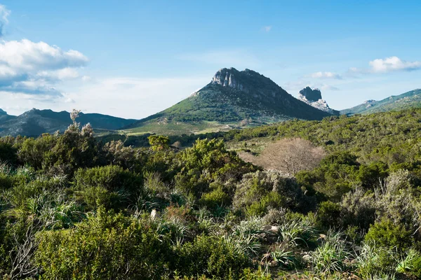 Mountain landscape in Sardinia — Stock Photo, Image