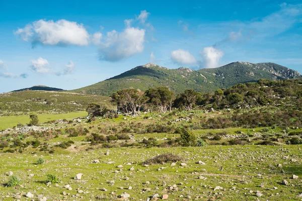 Paisaje de montaña en Cerdeña — Foto de Stock