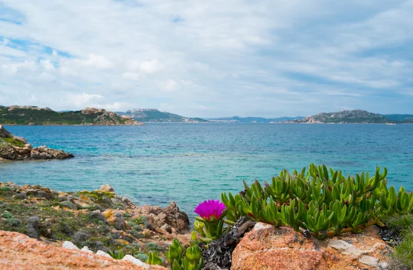 Caprera island, Sardenha, Itália — Fotografia de Stock