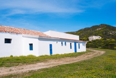 Asinara Adası Sardunya, İtalya