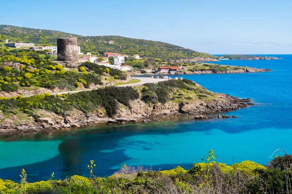 Asinara insel in sardinien, italien — Stockfoto