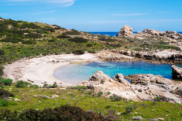 A Szardínián (Olaszország) az Asinara-sziget — Stock Fotó