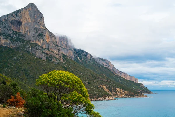Coast in Sardinia — Stock Photo, Image