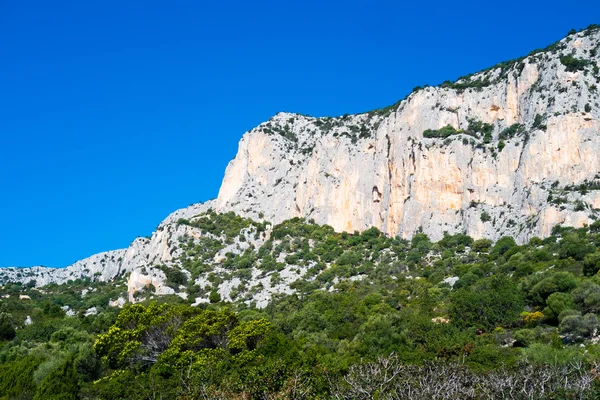 Roca en Cerdeña — Foto de Stock