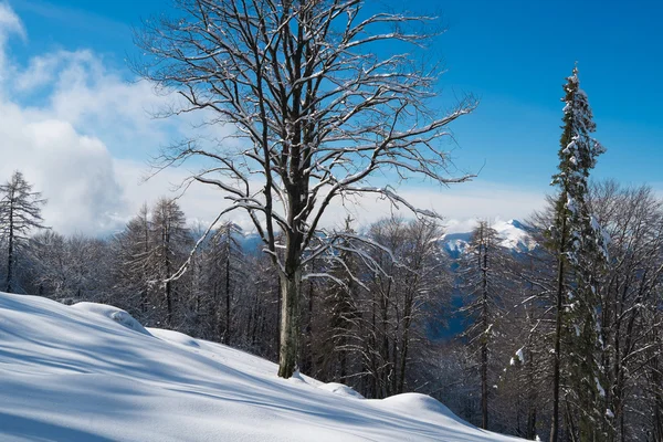 Paisaje de montaña con nieve — Foto de Stock