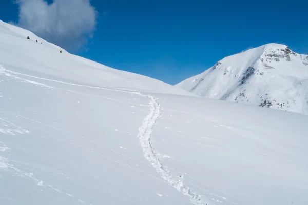 Bergen met sneeuw — Stockfoto