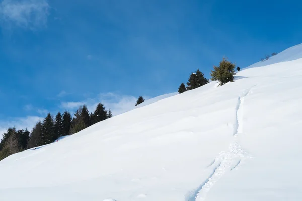 Montagne con neve — Foto Stock