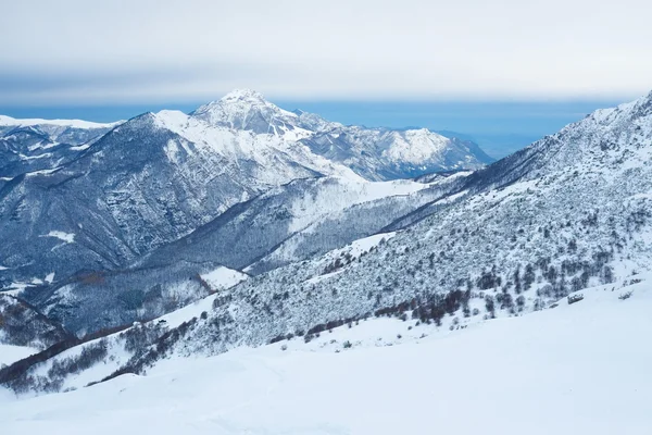 Alpen bergen in de winter — Stockfoto