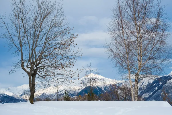 Alpes montañas en invierno — Foto de Stock