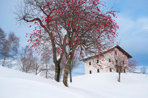 Casa alpina con nieve — Foto de Stock