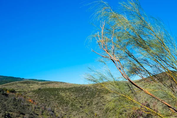 Spanish landscape — Stock Photo, Image