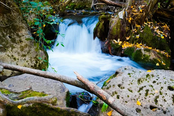 Mountain river — Stock Photo, Image