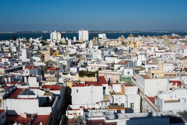 Cadiz från Torre Tavira — Stockfoto