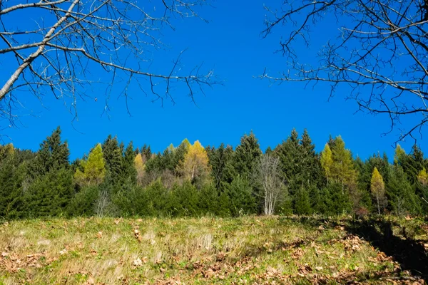 Podzim na horách — Stock fotografie