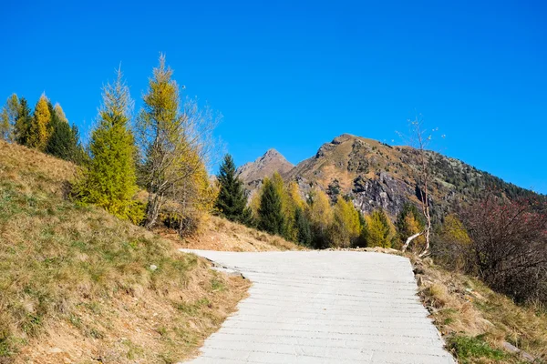 Mountain road in autumn — Stock Photo, Image