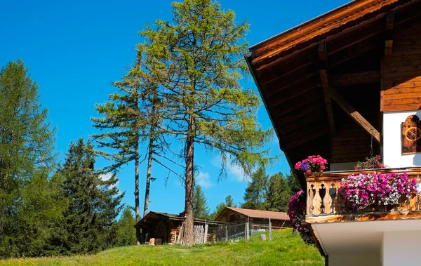 dağ evi