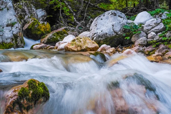 Mountain river in Slovenia — Stock Photo, Image