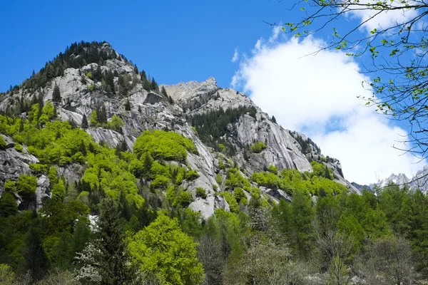 Val di Mello — Stock Photo, Image