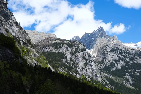 Val di Mello — Foto Stock