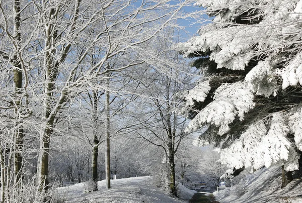 Lagastrello con neve — Foto Stock