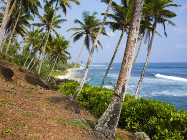 Mirissa