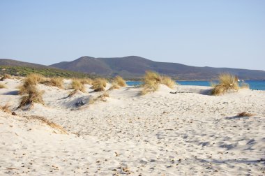 Le dune beach Sardinya