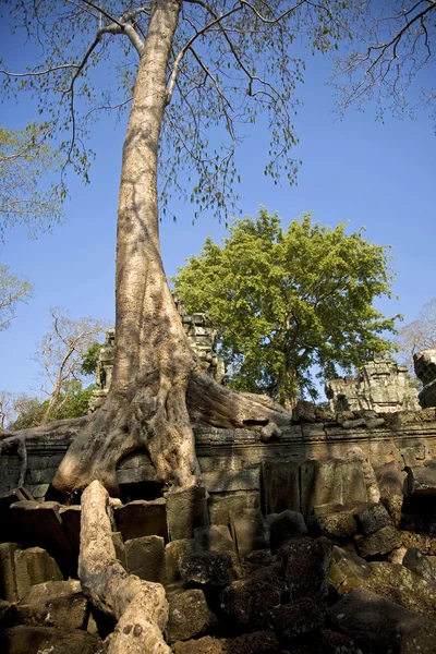 Angkor — Zdjęcie stockowe