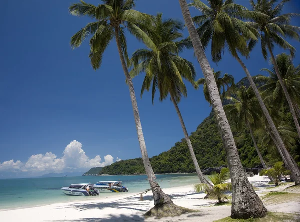 Angthong marine park — Stock Photo, Image