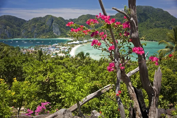 Koh Phi Phi island — Stock Photo, Image