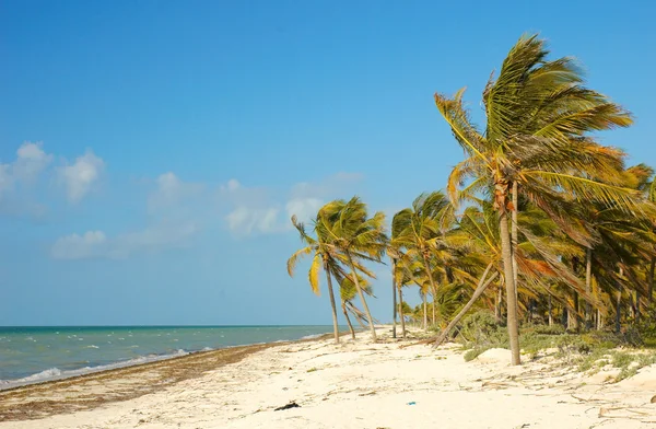 Beach in Mexico — Stock Photo, Image