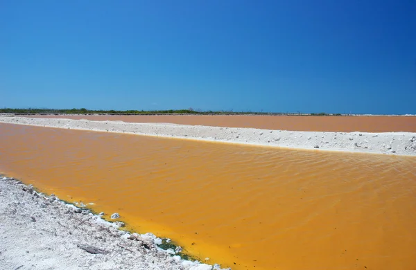 Río Lagartos — Foto de Stock