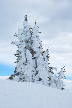 Steamboat Springs