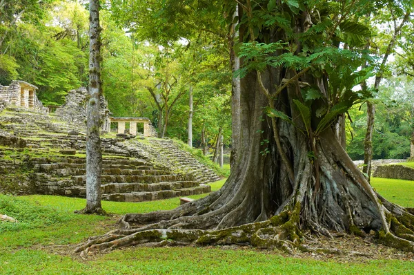 Yaxchilán — Foto de Stock