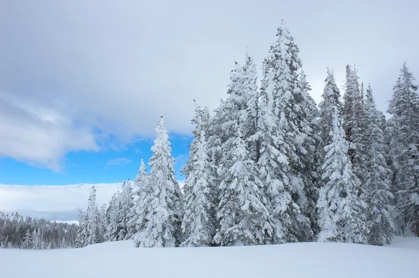 Steamboat Springs — Stockfoto