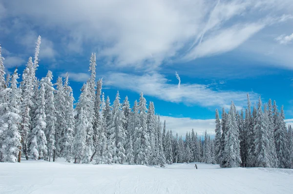 Steamboat Springs — Stockfoto