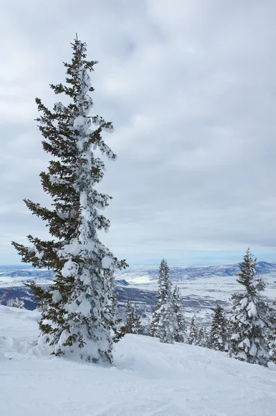 Steamboat Springs — Stockfoto