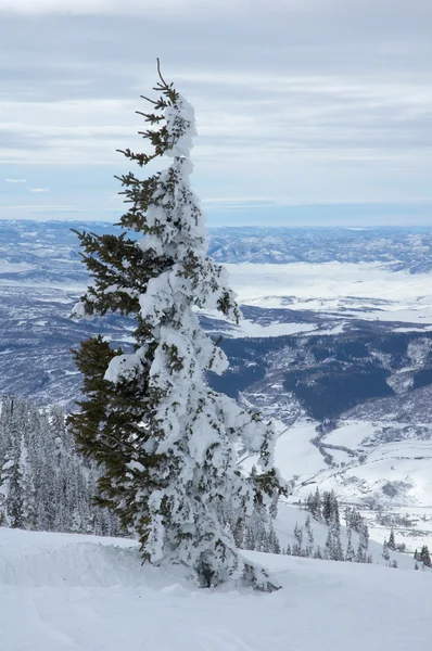 Steamboat Springs — Stockfoto