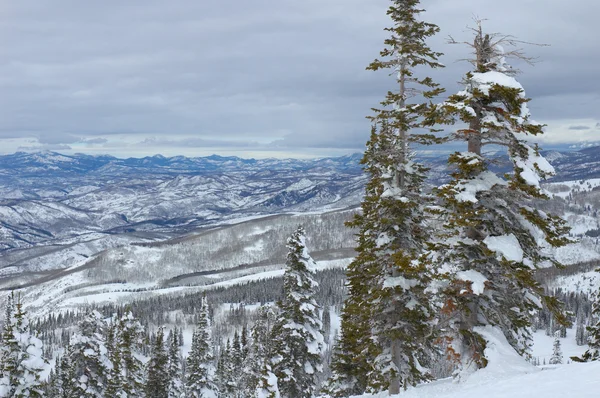 Steamboat Springs — Stockfoto