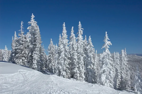 Steamboat Springs — Zdjęcie stockowe