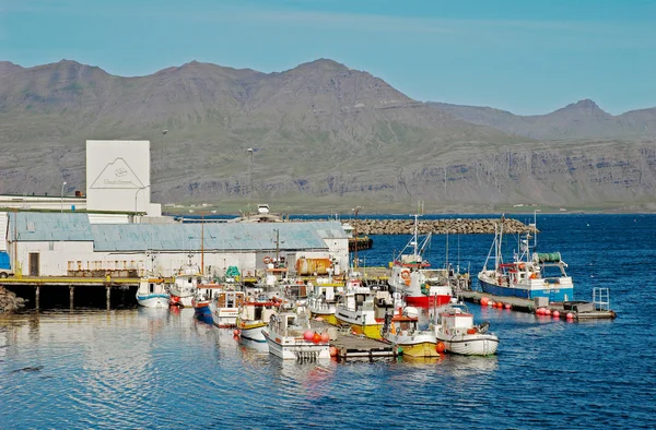 Djupivogur — Stockfoto