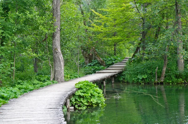 Plitvice — Stock Photo, Image