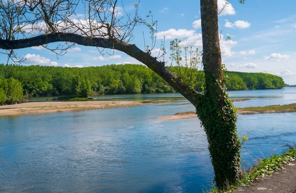 Loire — Stockfoto