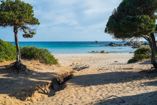 Cala Cipolla — Φωτογραφία Αρχείου