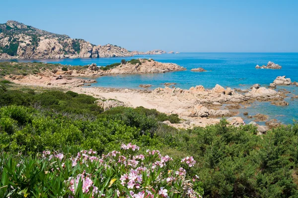 Côte d'Emeraude Photos De Stock Libres De Droits