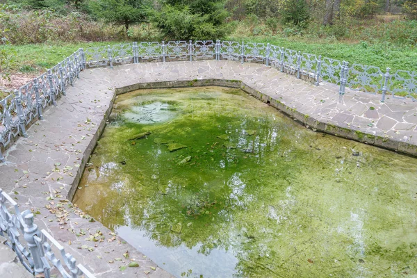 Zamknięte metalowe ogrodzenie bagnistych zbiornik wodny z odbiciem drzew — Zdjęcie stockowe