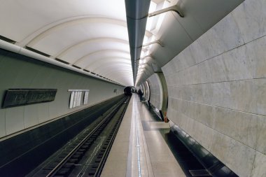 Platform istasyonu Moskova metrosu 