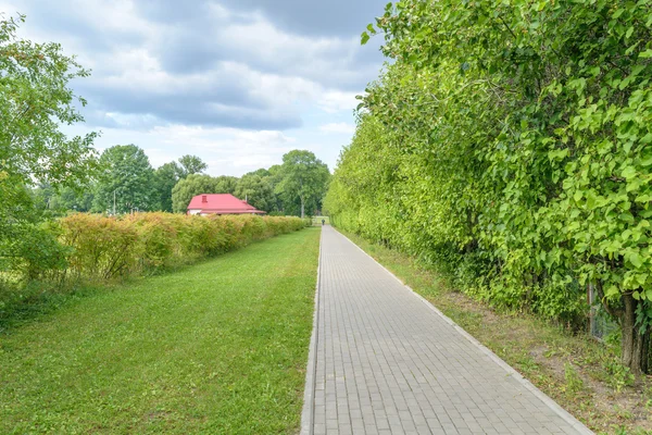 A gyönyörű zöld parkban sikátor — Stock Fotó