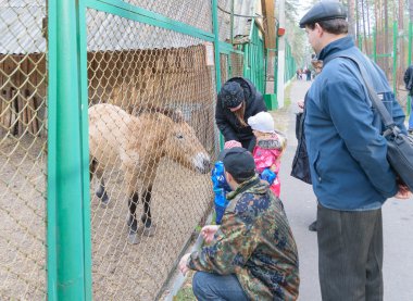 Çocuklar ebeveynleri ile Milli Park alanında hayvan besleme 