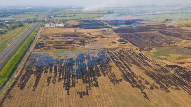 Pirinç tarlalarını yakmak, uçan pirinç dronunun havadan görüntüsü, orman yangınları.
